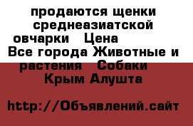 продаются щенки среднеазиатской овчарки › Цена ­ 30 000 - Все города Животные и растения » Собаки   . Крым,Алушта